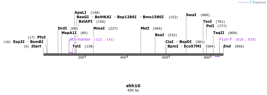 117798_map