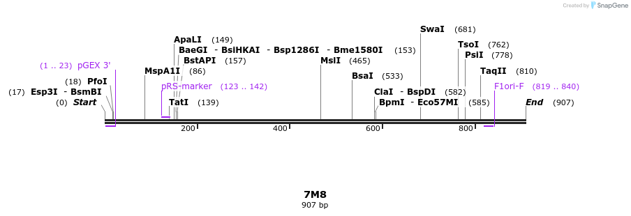 117799_map