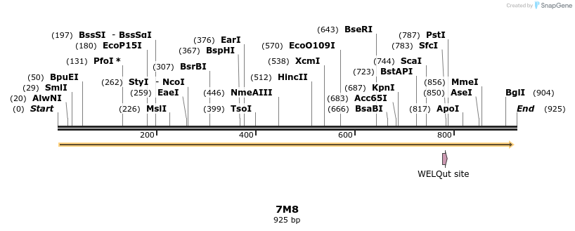 117800_map