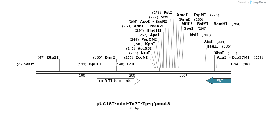 117802_map