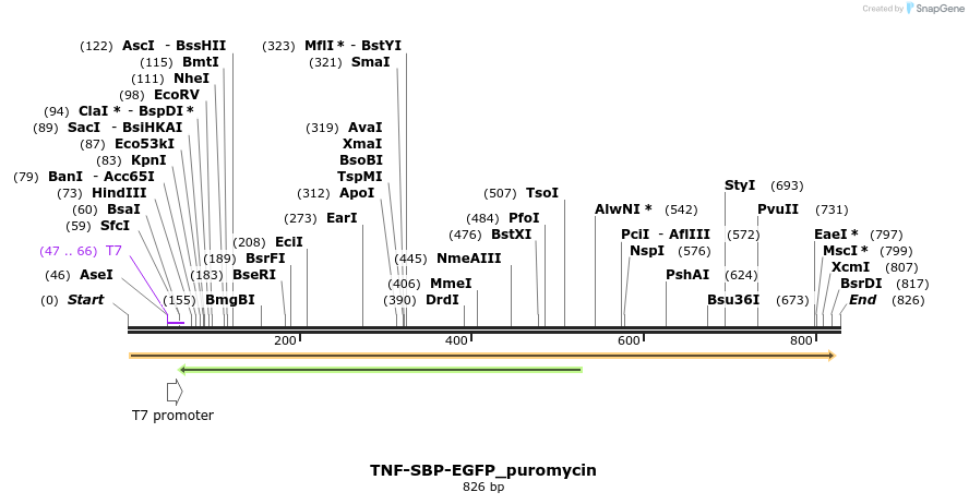 117804_map