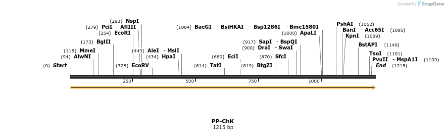 11781_map