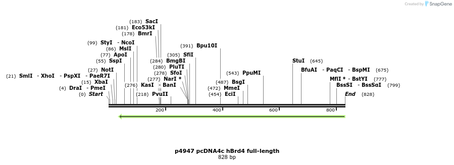 117812_map