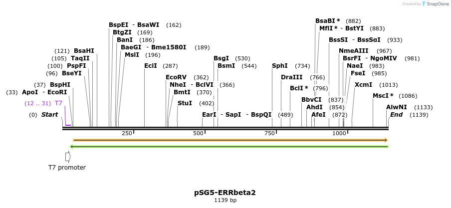117814_map