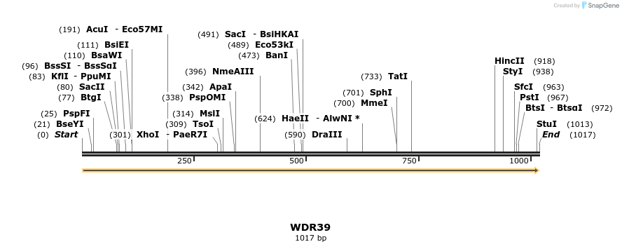 11782_map