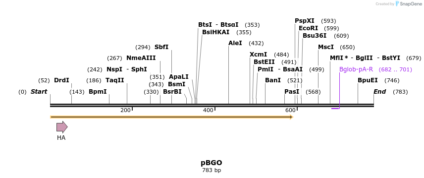 117821_map