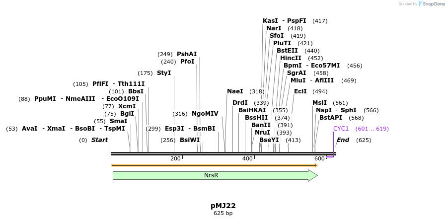 117825_map