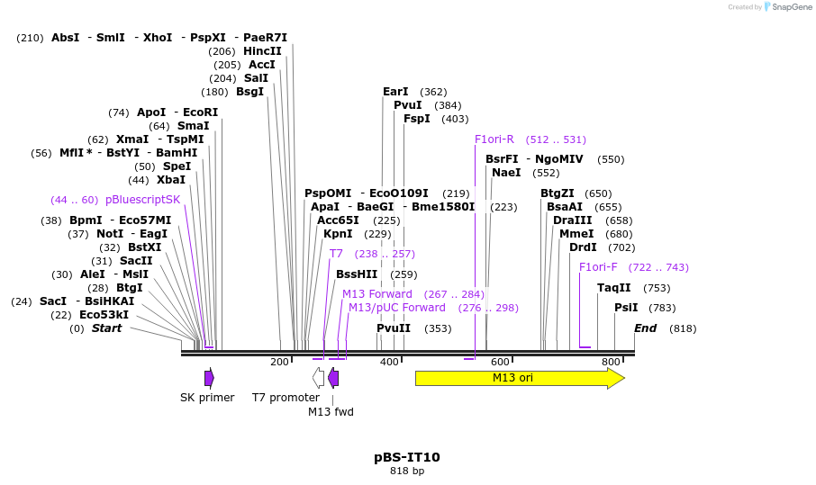 117829_map