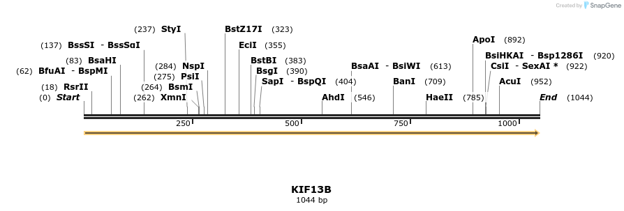 11783_map
