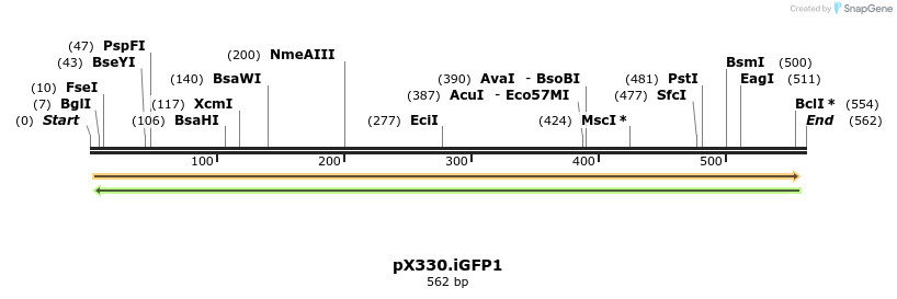117831_map