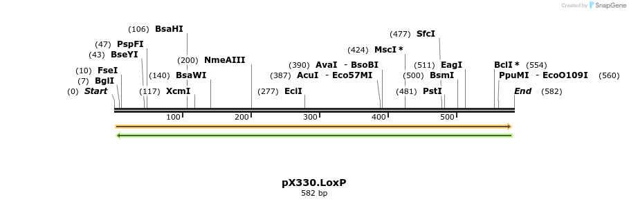 117832_map