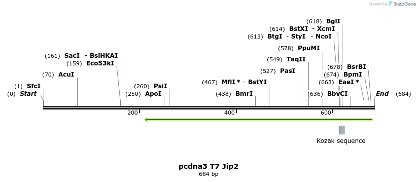 117833_map