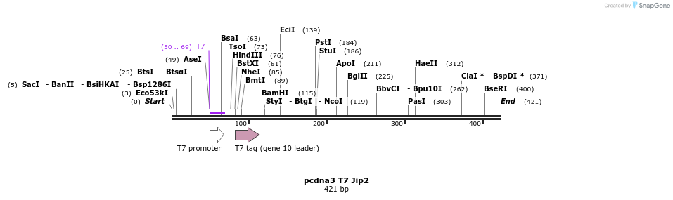 117835_map