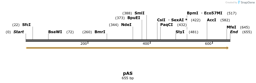 117836_map
