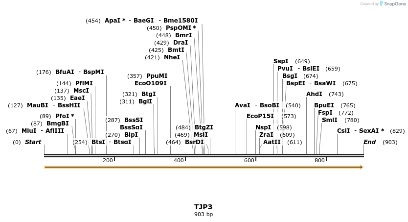 11784_map