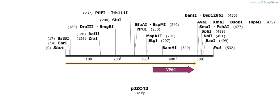 117846_map