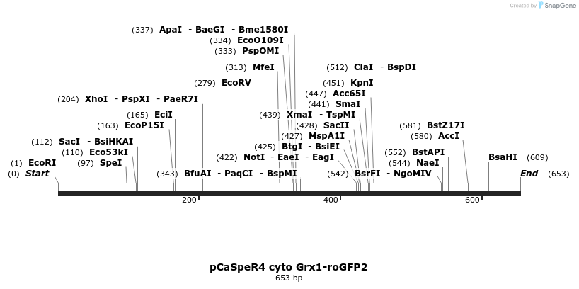 117859_map