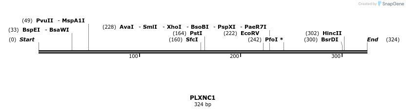 11786_map