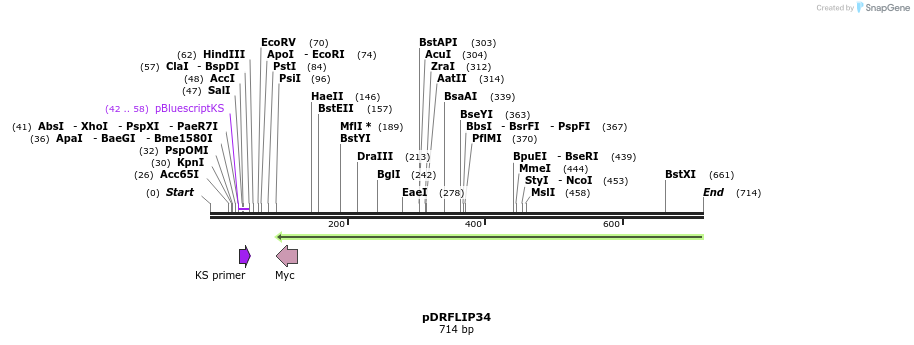 117868_map