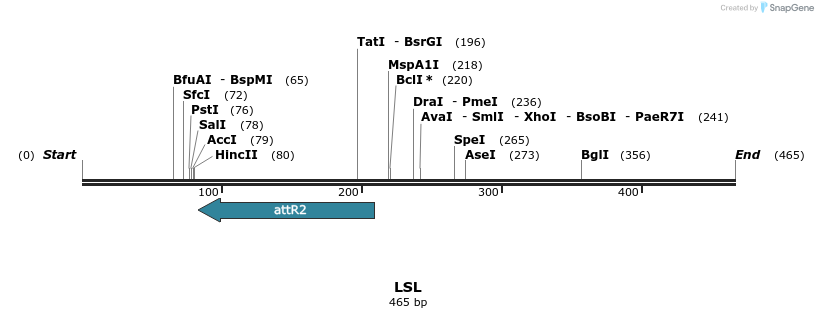 117870_map