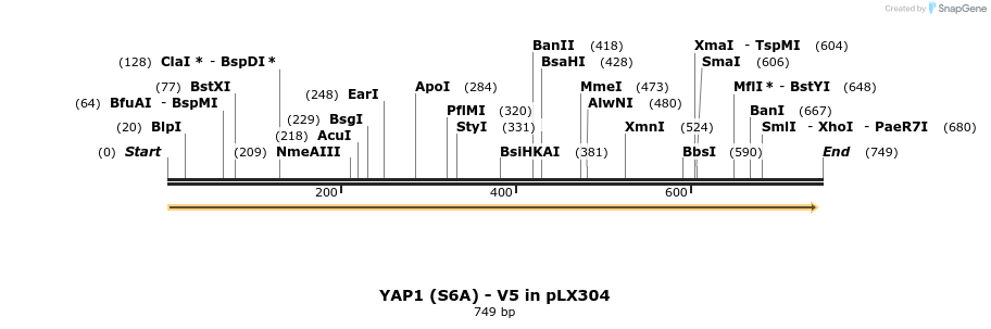 117873_map