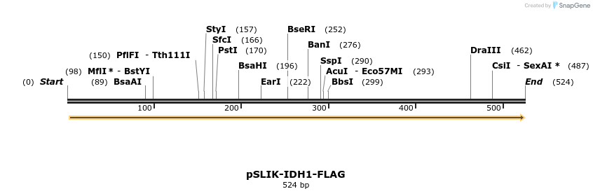 117875_map