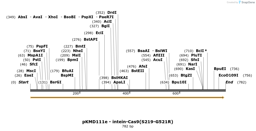 117882_map