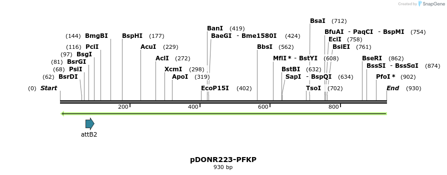 117884_map