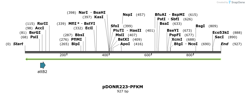 117885_map