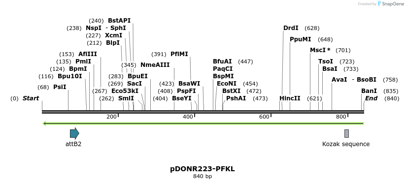 117886_map