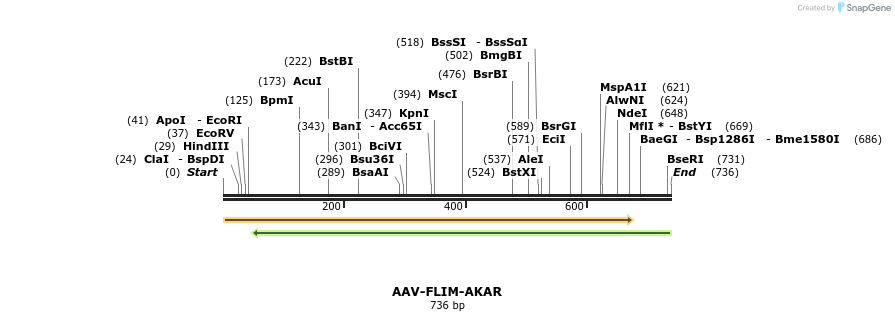 117890_map