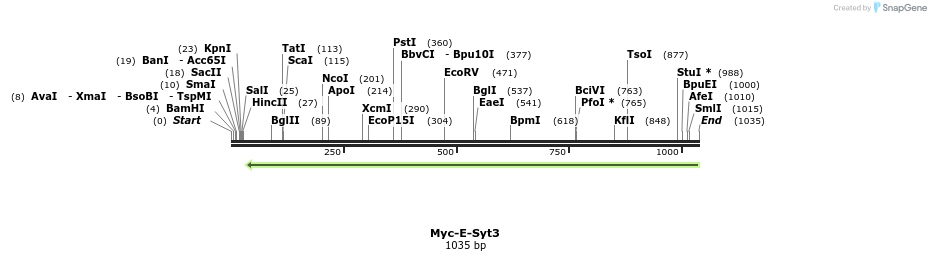 117893_map