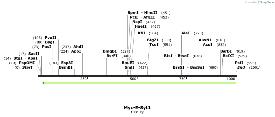 117894_map