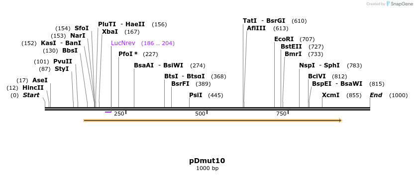 117895_map