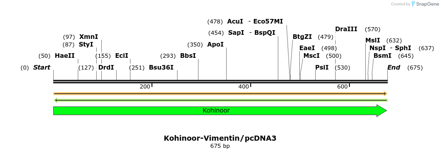 117902_map