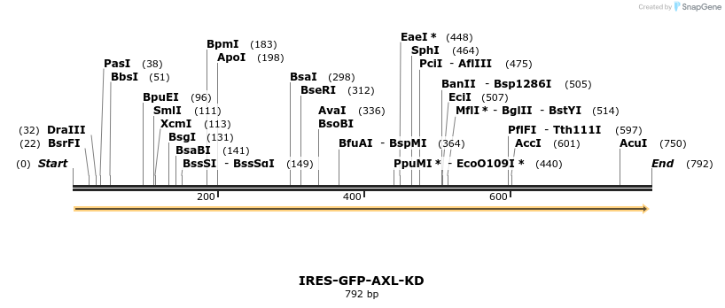 117904_map