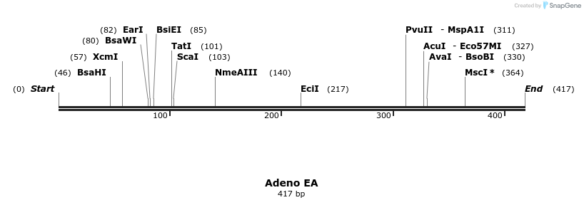 117905_map