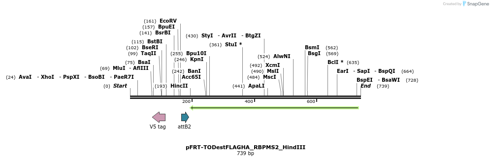 117914_map