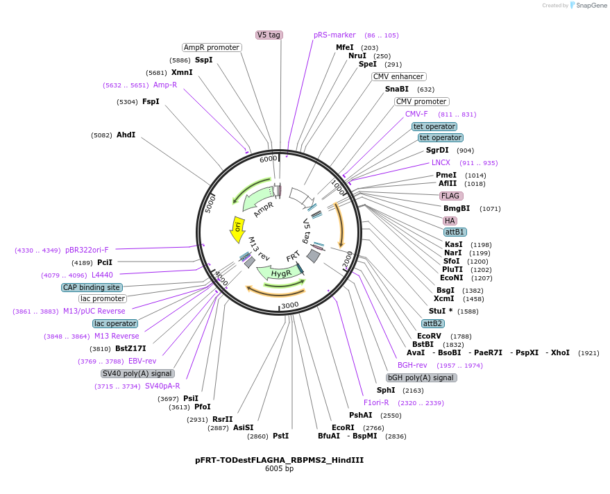 117915_map