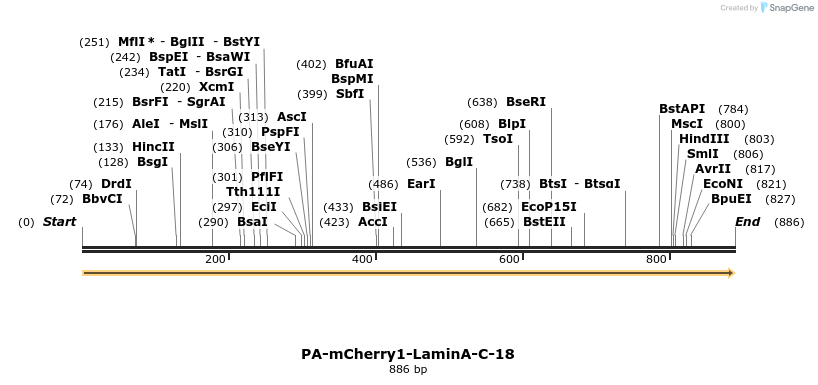 117921_map