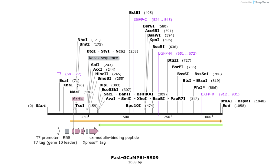117923_map