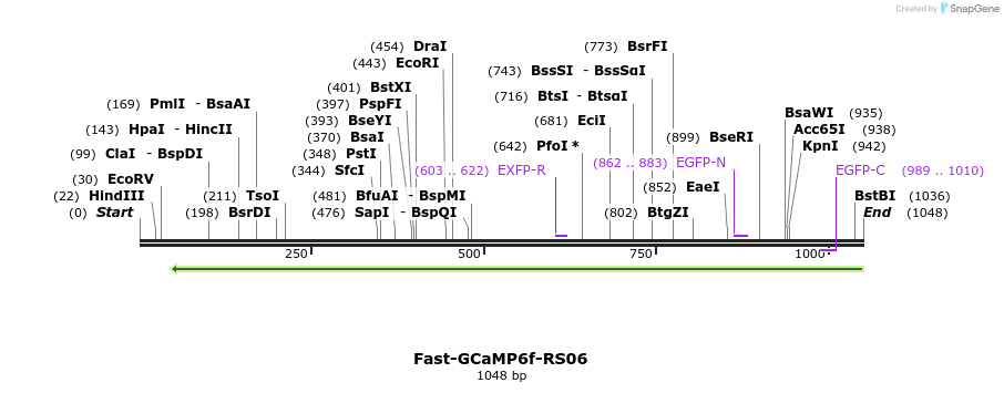 117927_map