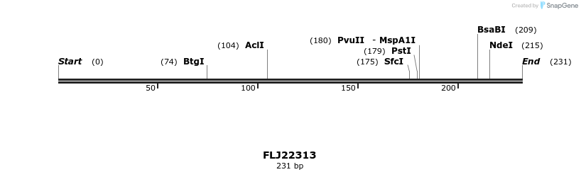 11795_map