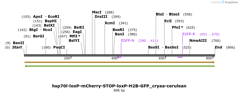 117952_map