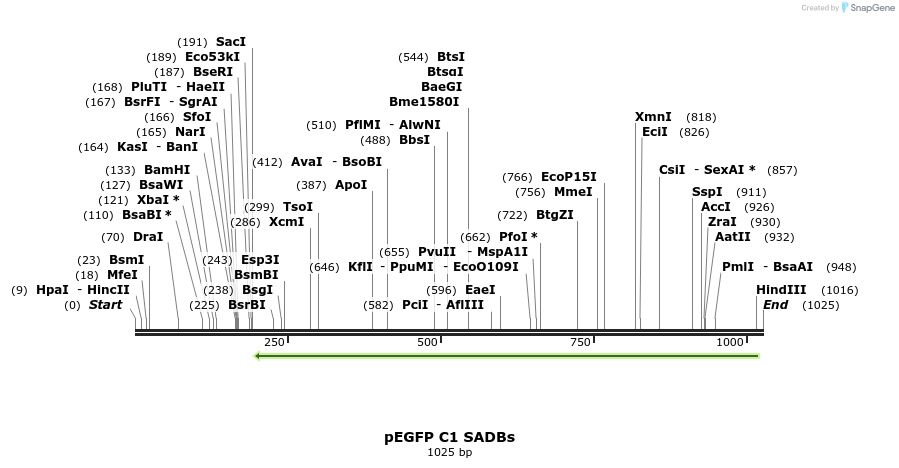 117972_map