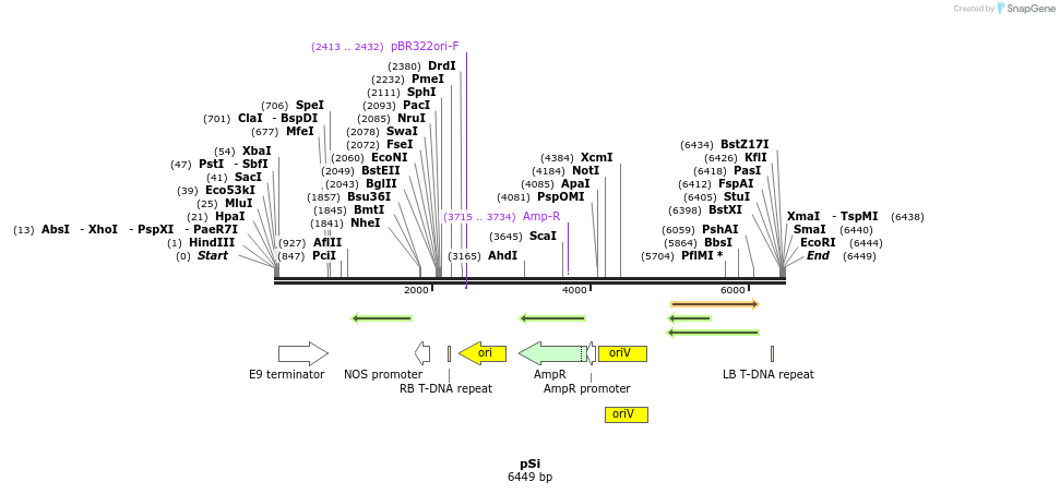 117978_map