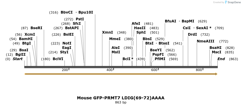117986_map