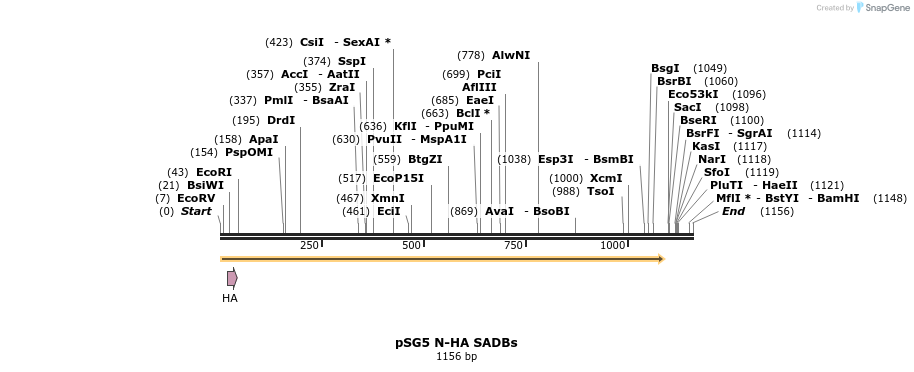 117990_map