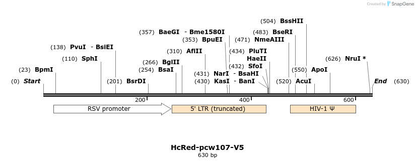 117992_map