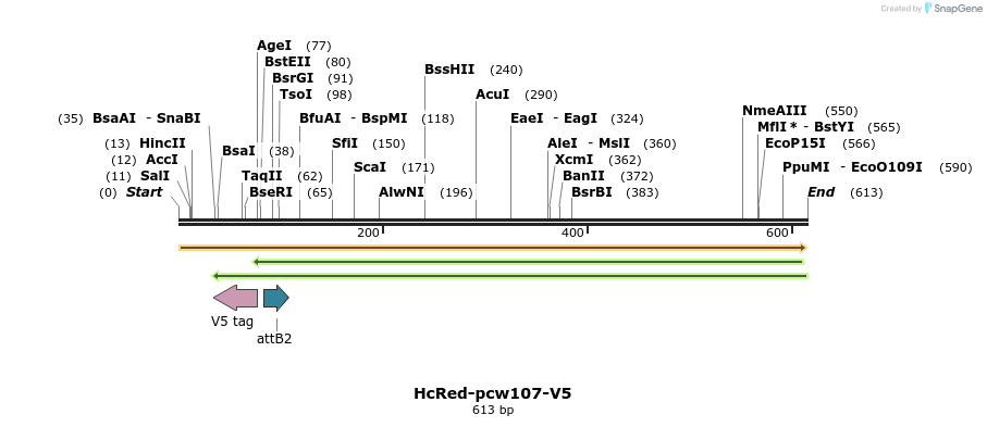 117993_map